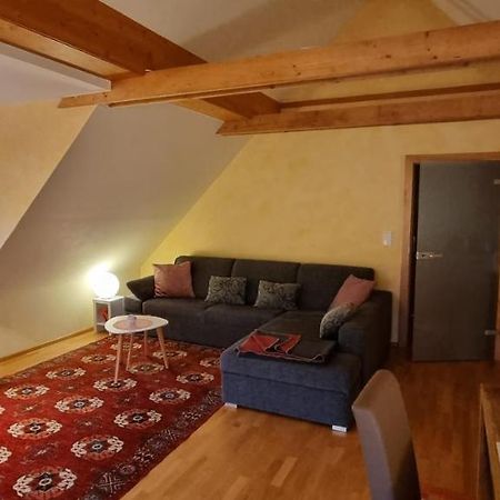 Apartment Mittelpunkt - Kaufmann Sankt Stefan ob Leoben Luaran gambar